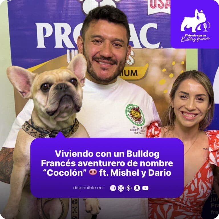 Viviendo con un Bulldog Francés aventurero de nombre “Cocolón” 🐽 ft. Mishel y Dario