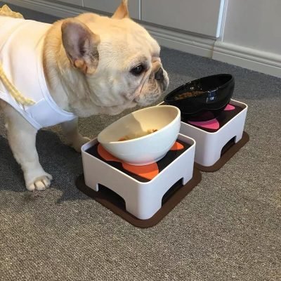 Bulldog Bowl