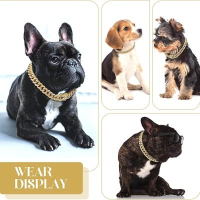 Collar dorado bulldog frances