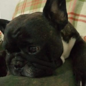 IMG-20230323-WA0118