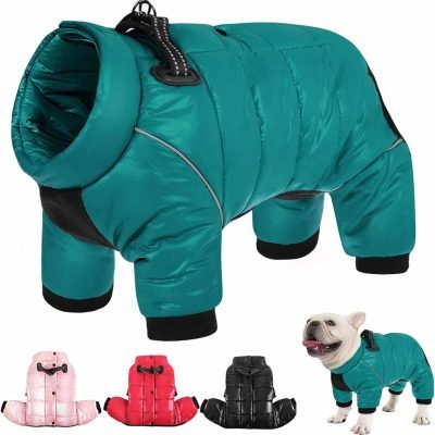 impermeable para bulldog frances